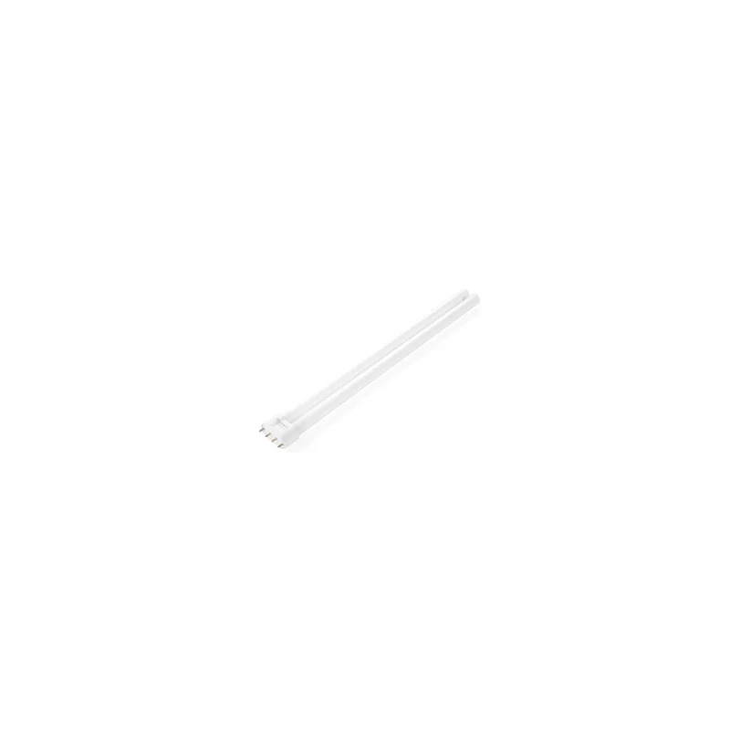 cookrock5371581