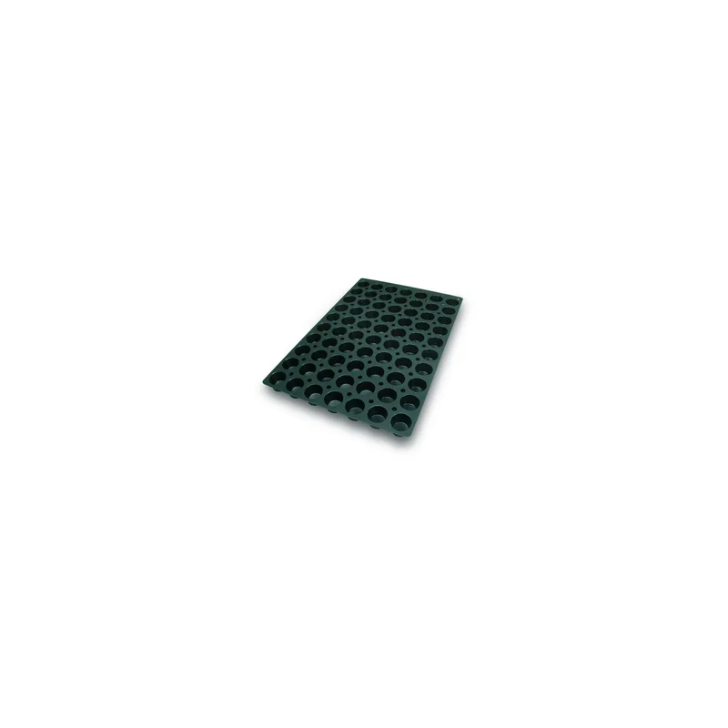 cookrock5414387