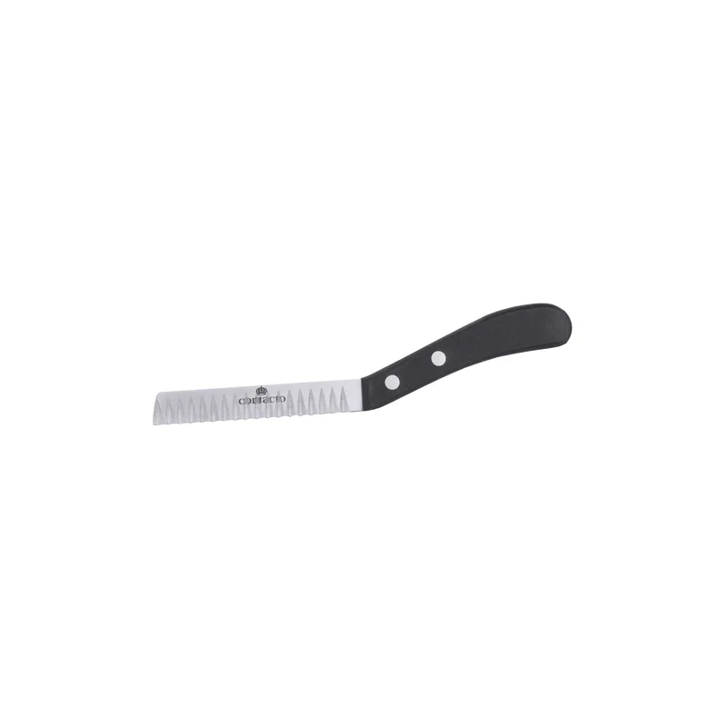 cookrock5519226