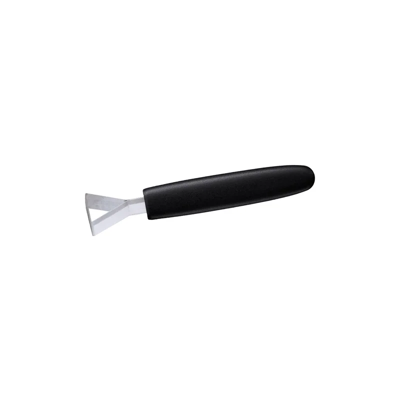 cookrock5519245