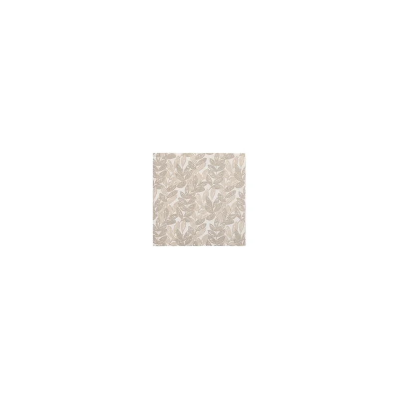 cookrock5595720