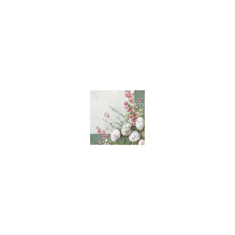 cookrock5628077