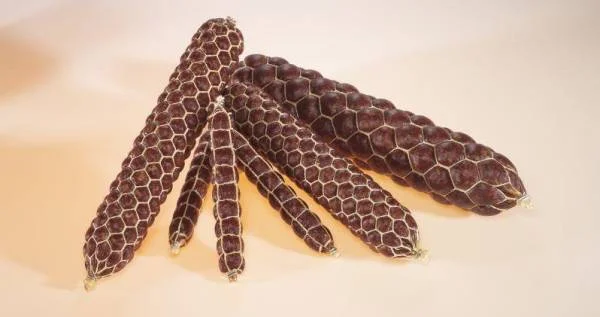 niederbergershop5272774